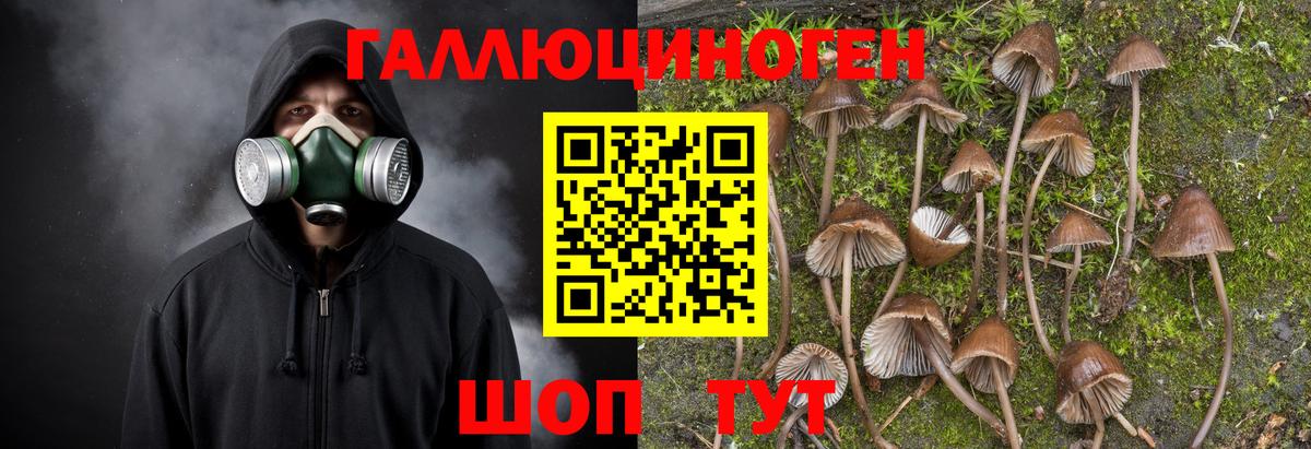 Псилоцибиновые грибы MAGIC MUSHROOMS Нефтеюганск